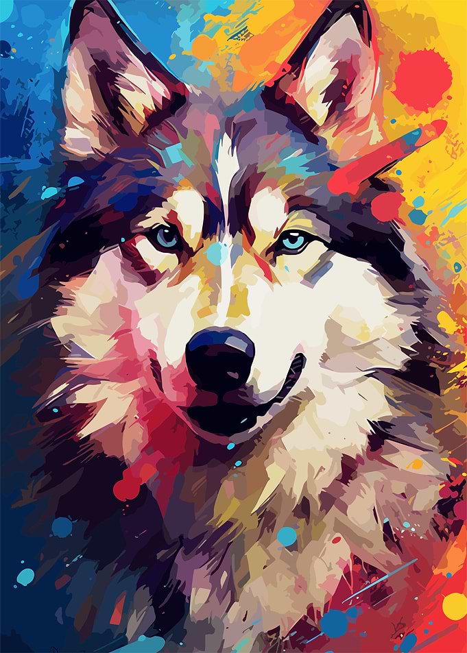 husky dog