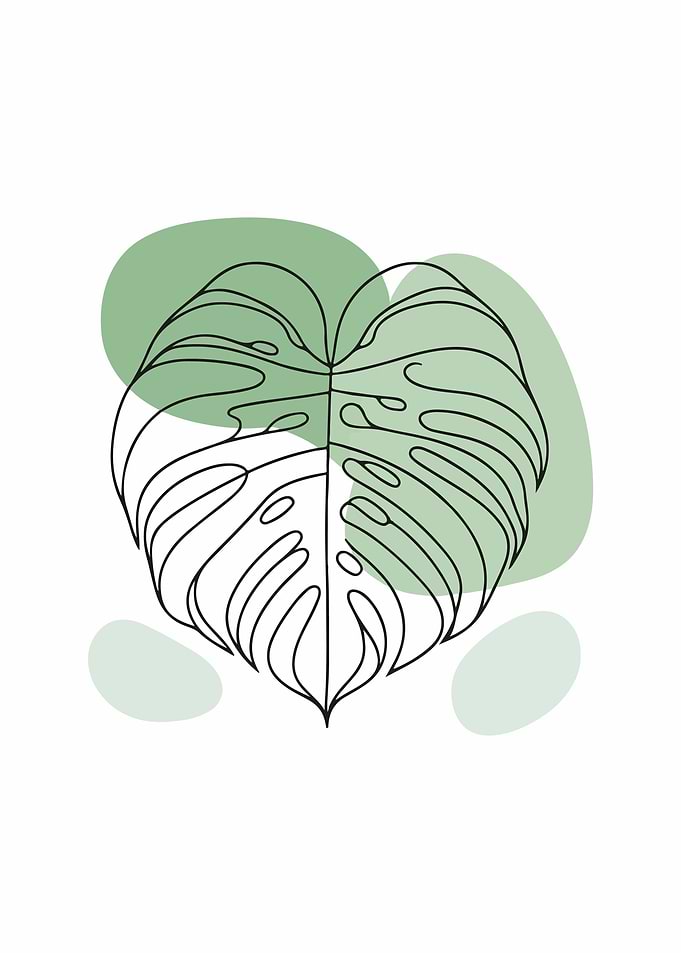 Tropical Monstera Delight