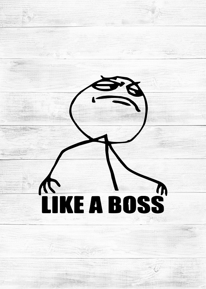 like a boss funny meme