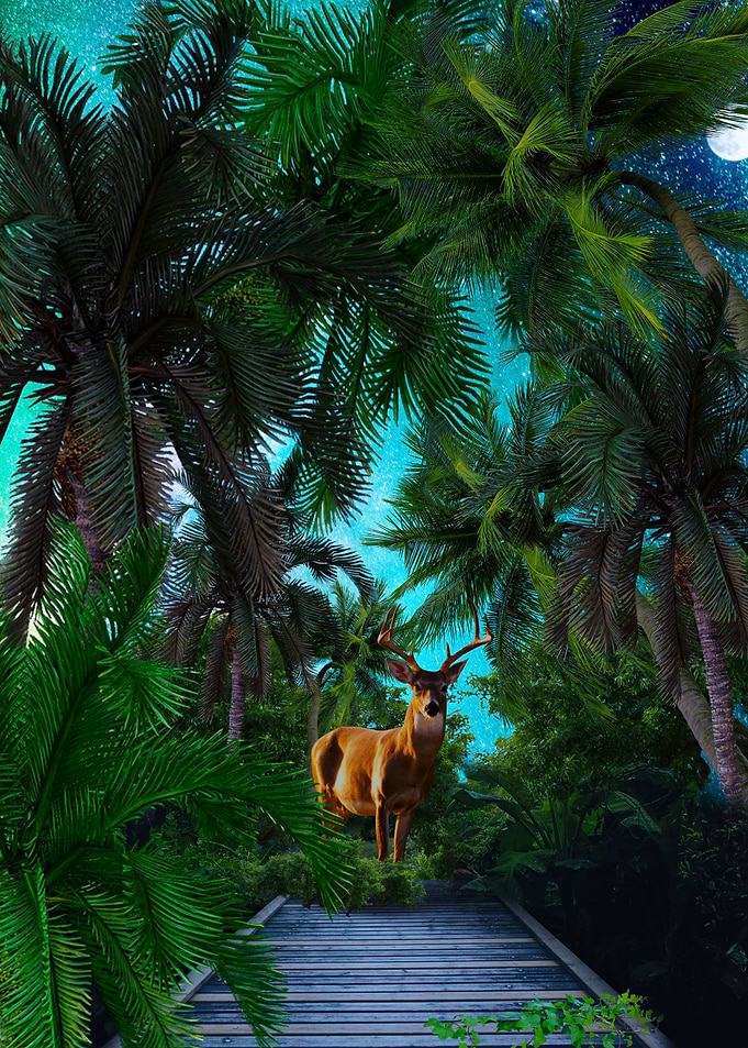 Magical Stag Poster