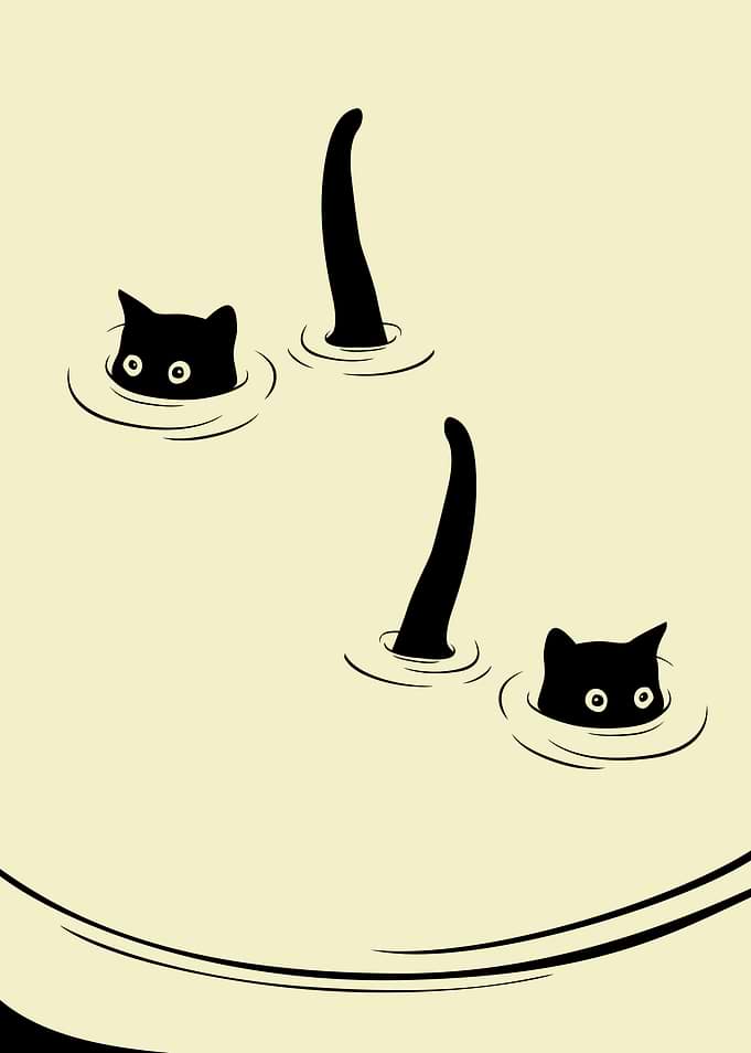 Farewell Cat
