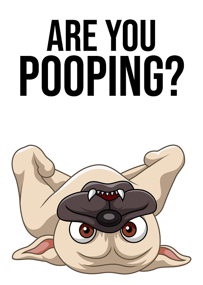 Funny Dog Are You Pooping
