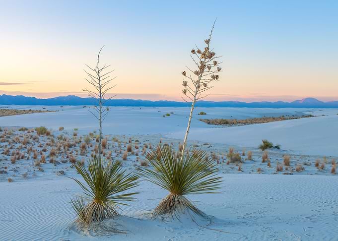 White Sand Dunes