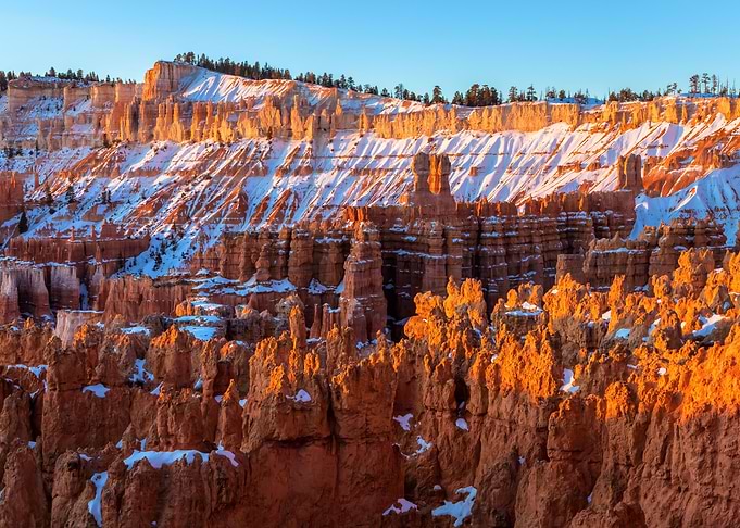 The Hoodoos