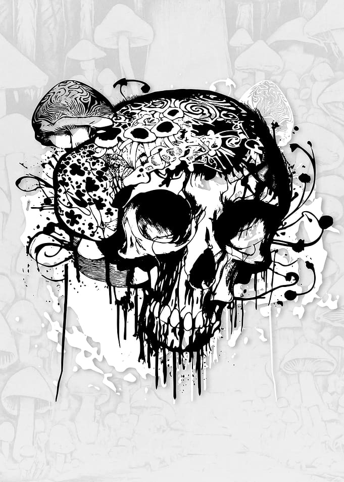 Mushrooms Soul