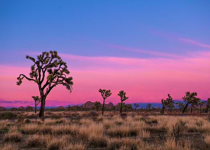 Africa sunset