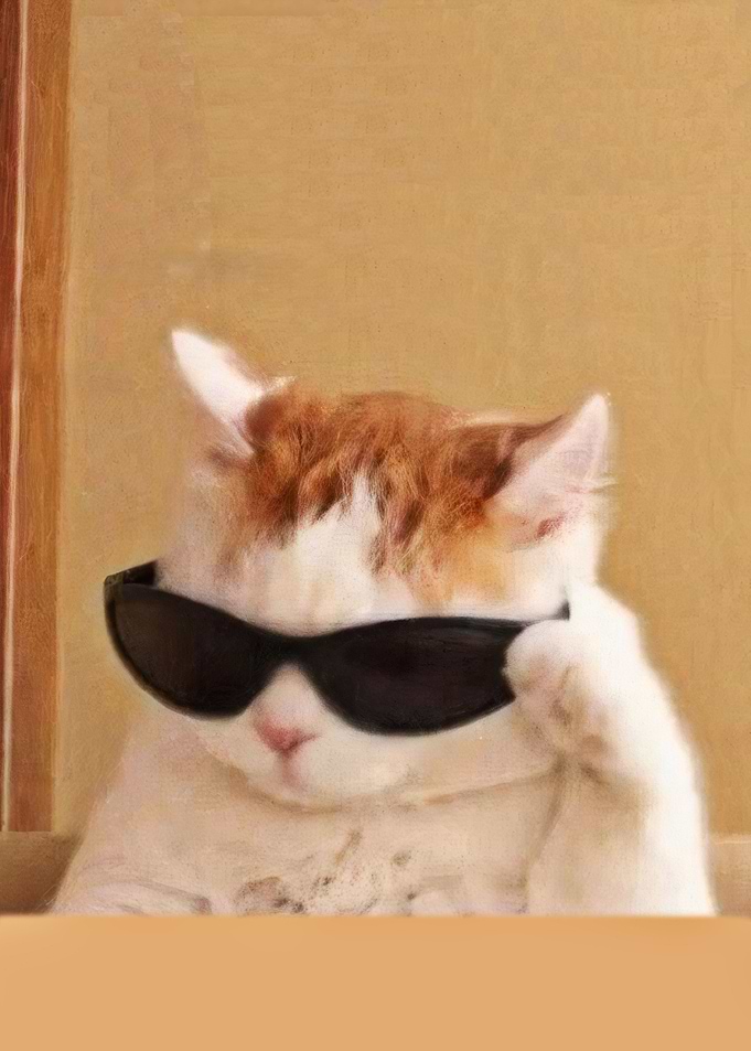 Cat with glasses
