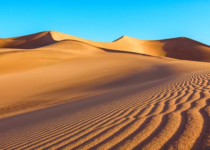 Mesquite Sand Dune