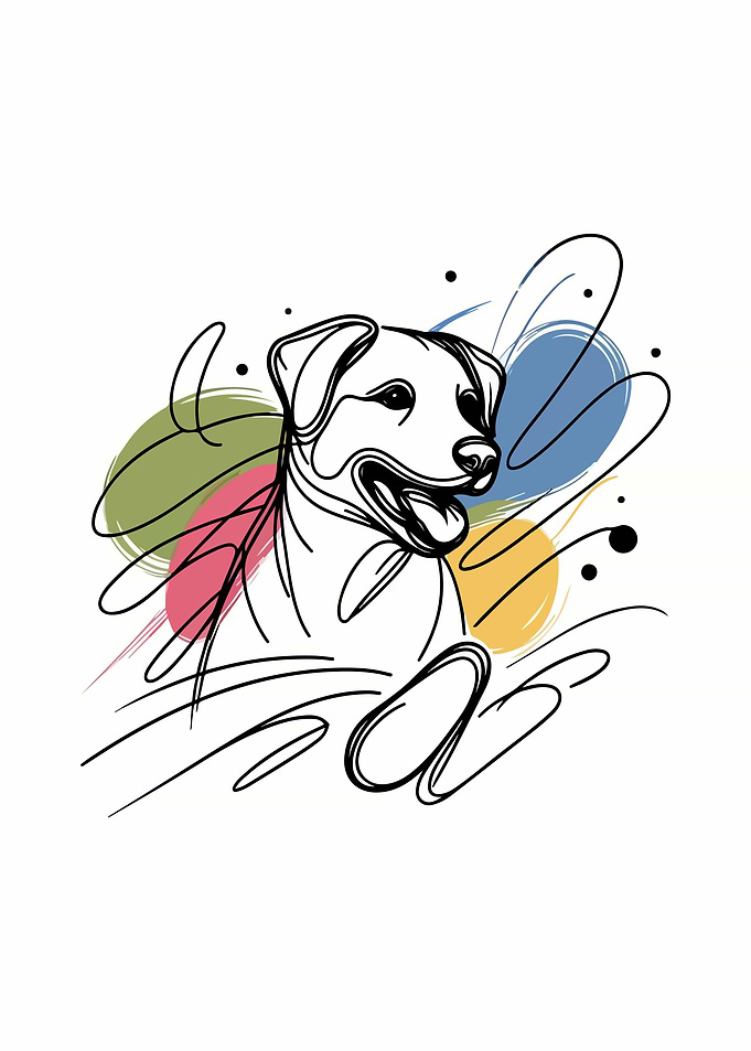 Dog Color Splash