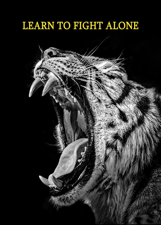 Learn To Fight Alone