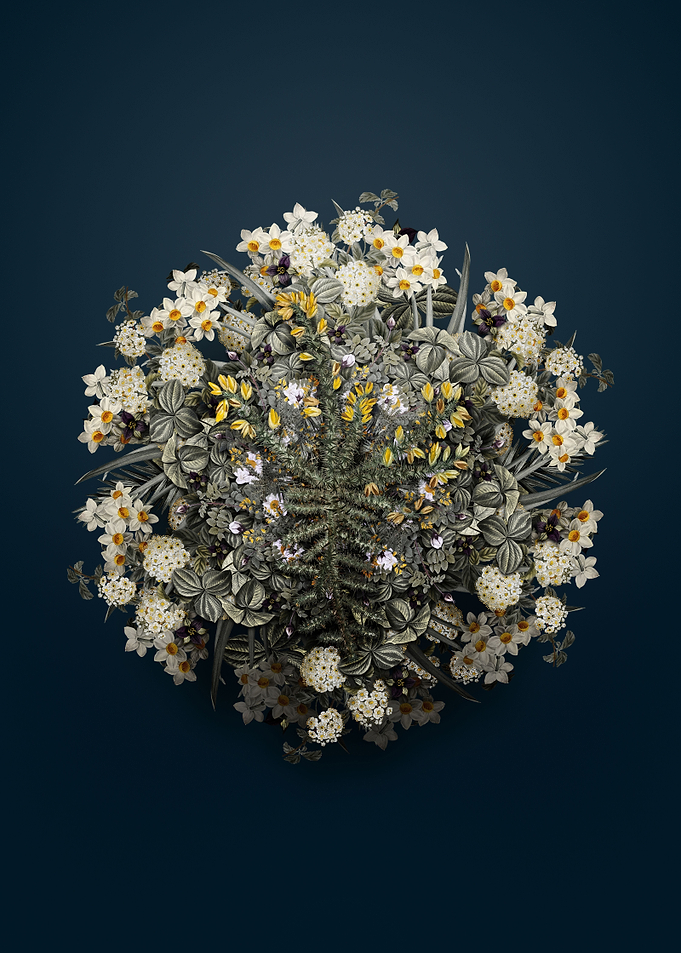 Yellow Gorse Flower Wreath