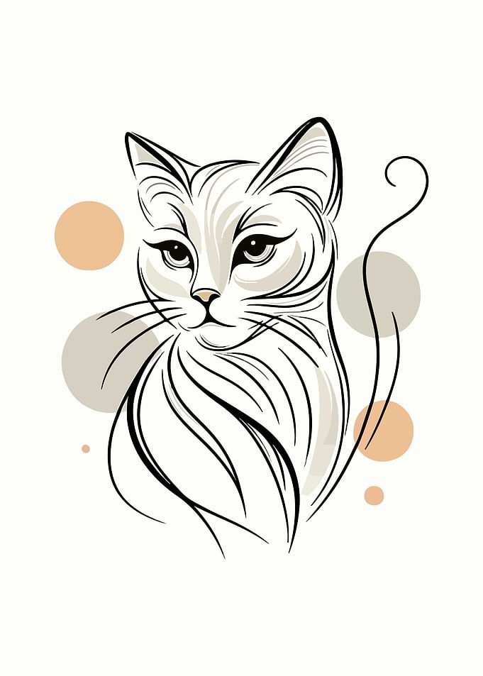 Serene Cat Contour
