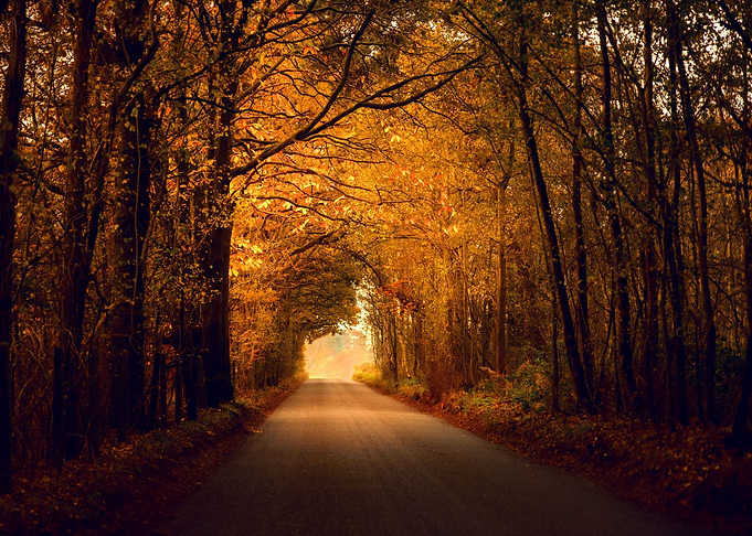 Mysterious Road