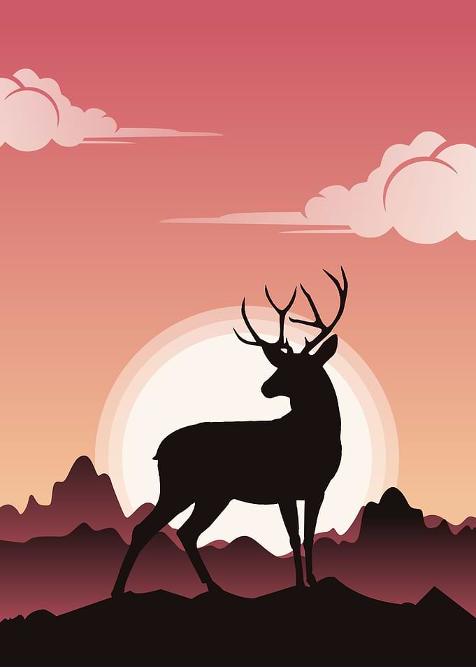 Deer scenery