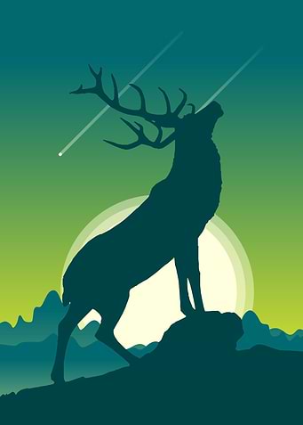 Deer Illustration