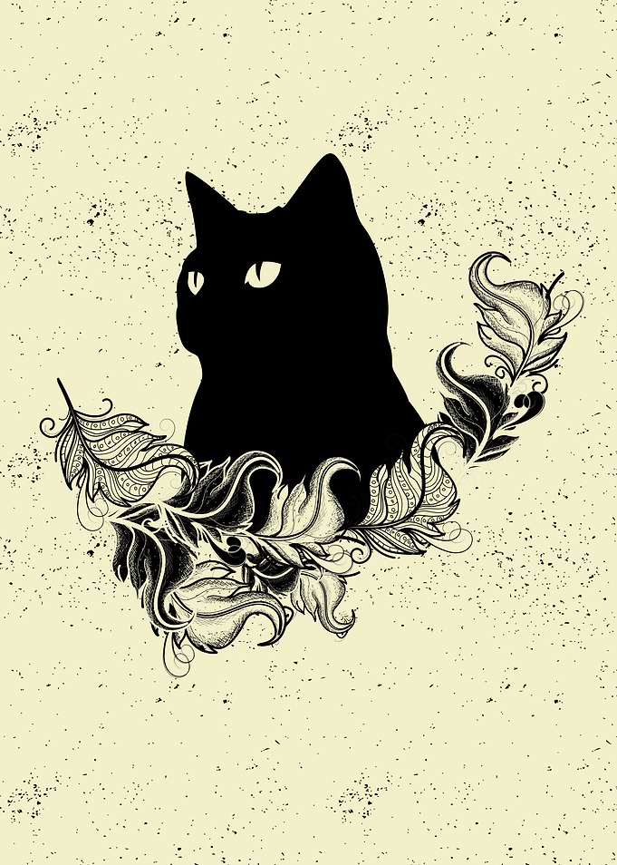 Charismatic Cat