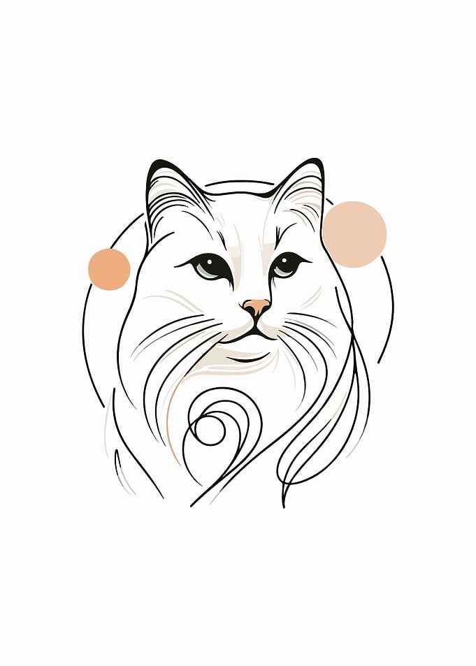 Whimsical Cat Contours