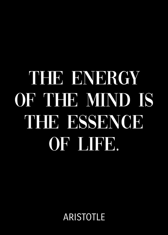 Aristotle Quotes
