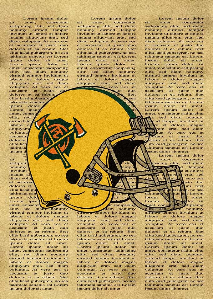 Arizona Hotshots Helmet
