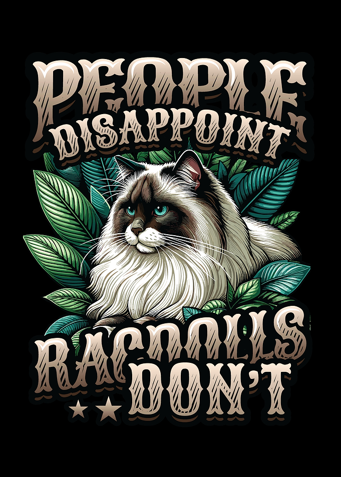 Ragdoll Cat Owner Ragdoll