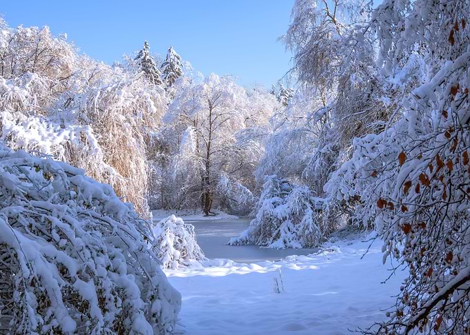 SWABIAN WINTER SCENERY