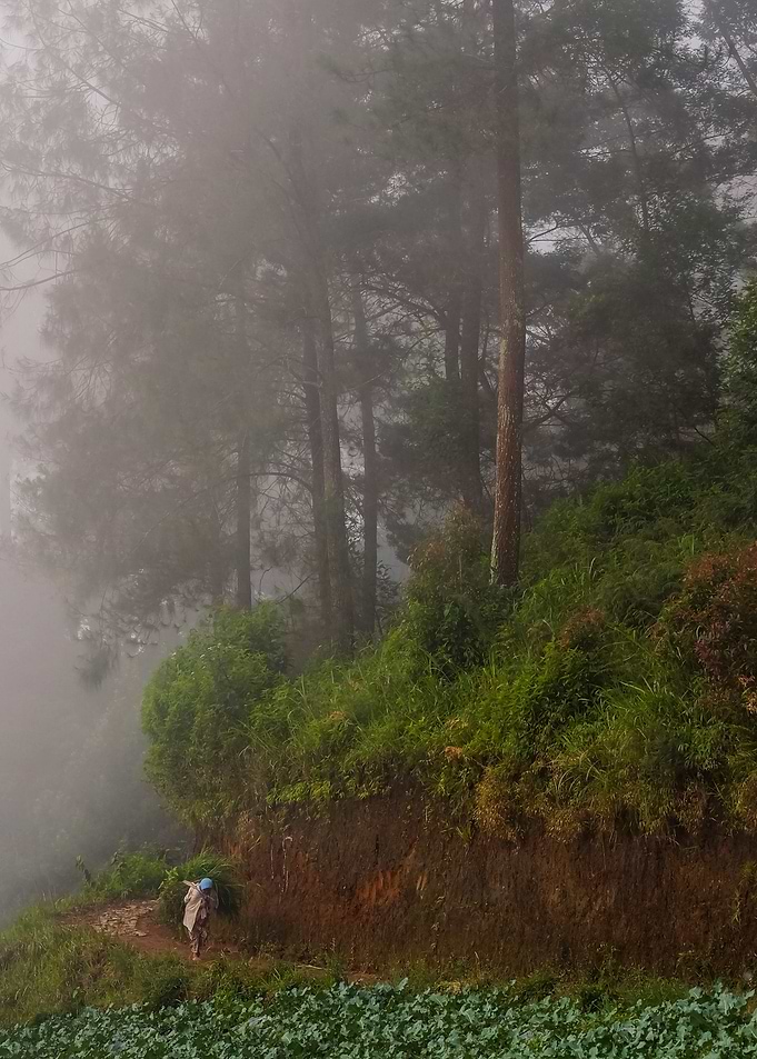 travel traditional