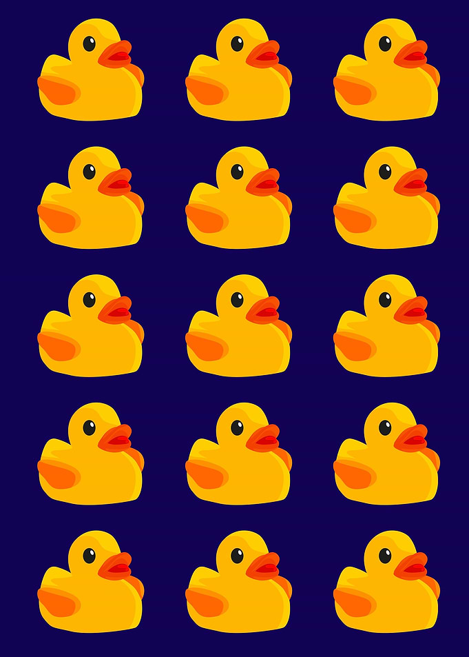 Rubber Ducks Collection