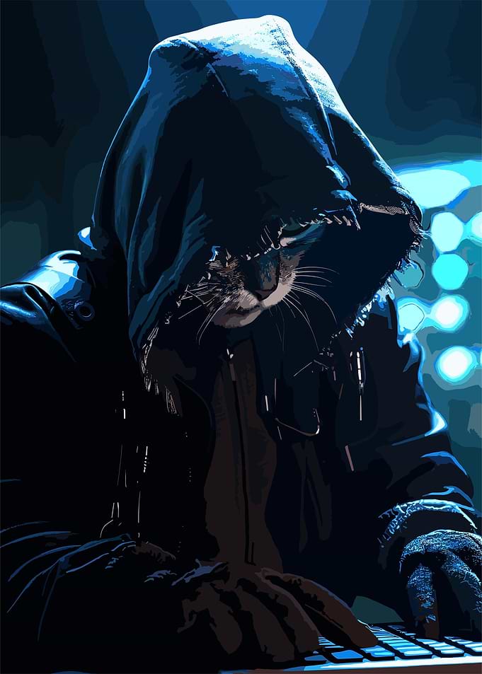 cyber punk cat