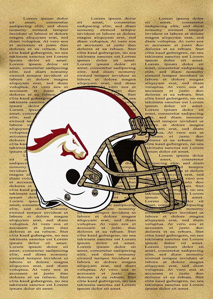 Birmingham Stallions