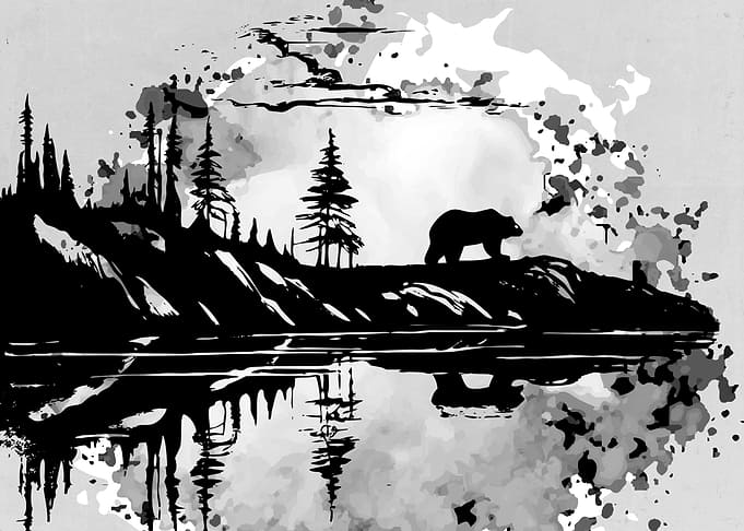 Wild and Bear