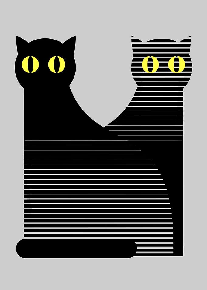 Night Fall Cats