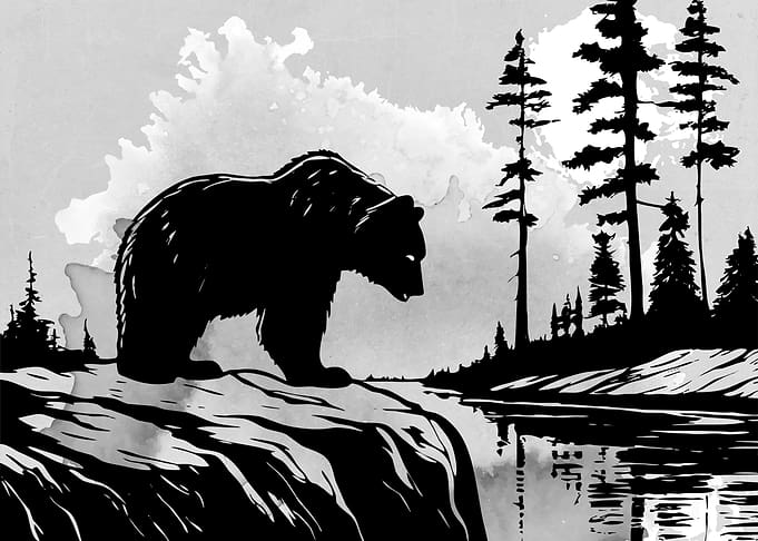 Wild and Bear