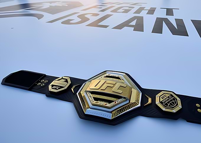 UFC MMA