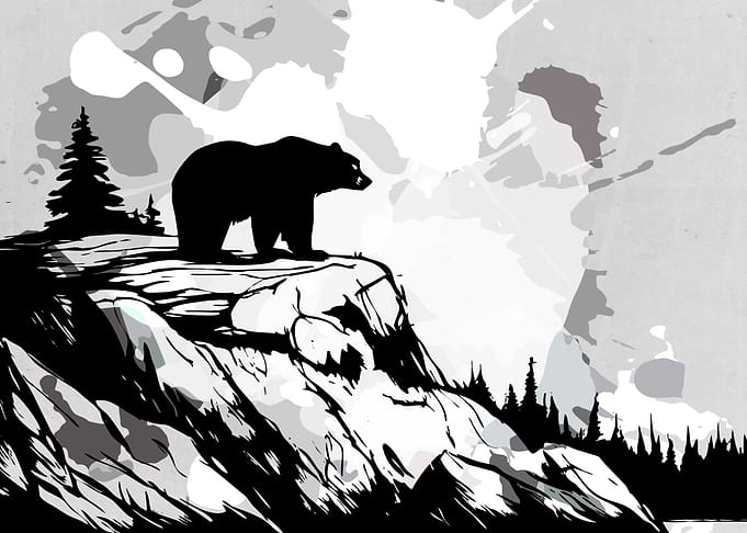 Wild and Bear