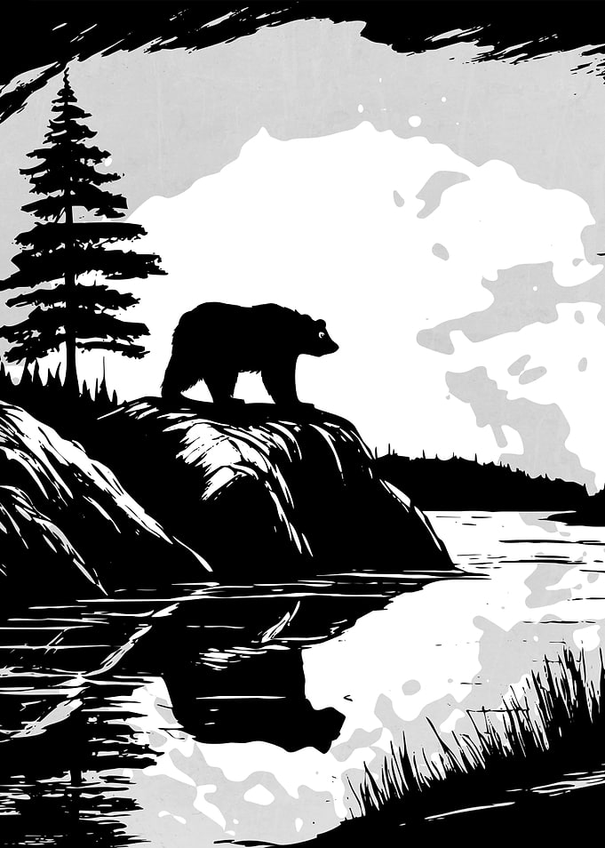 Wild and Bear