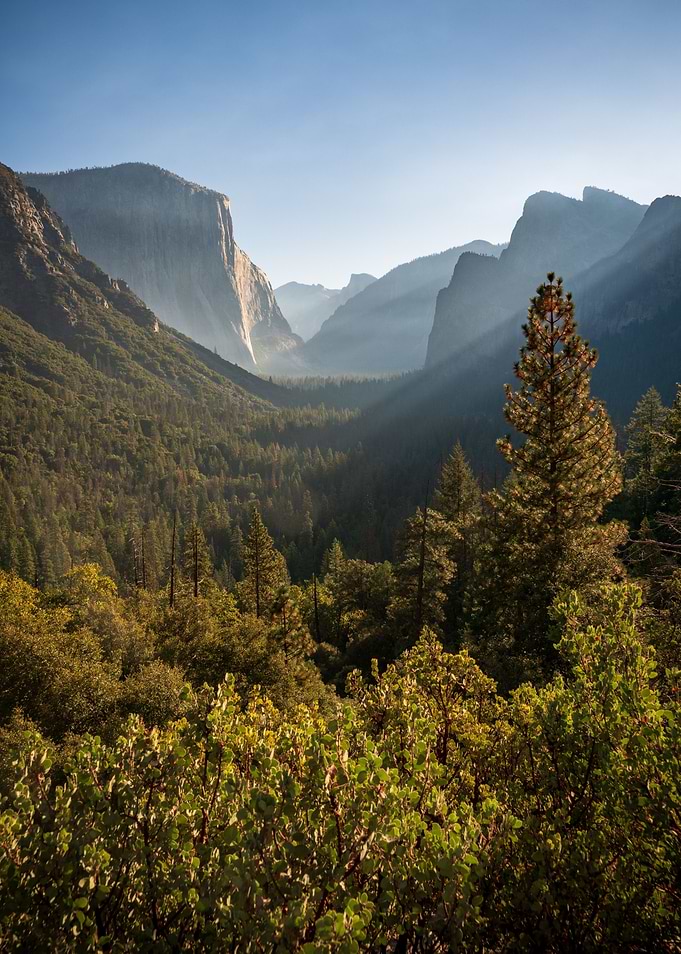 Yosemite National Park