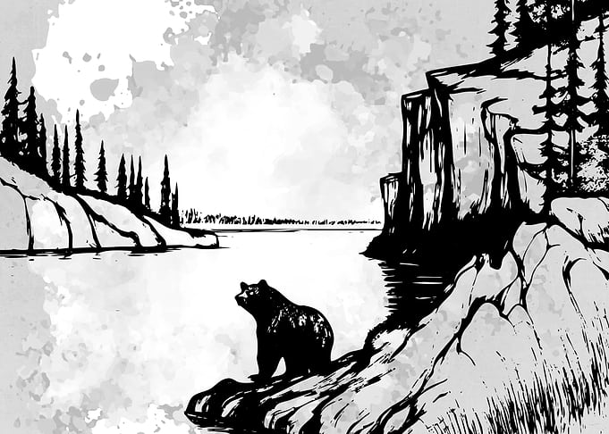 Wild and Bear