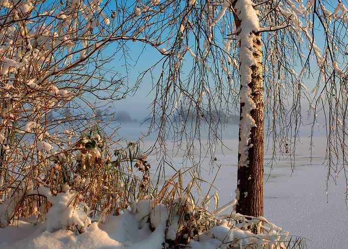 Winter morning