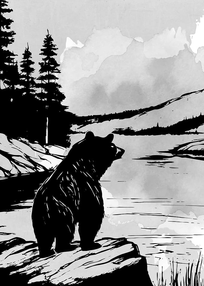 Wild and Bear