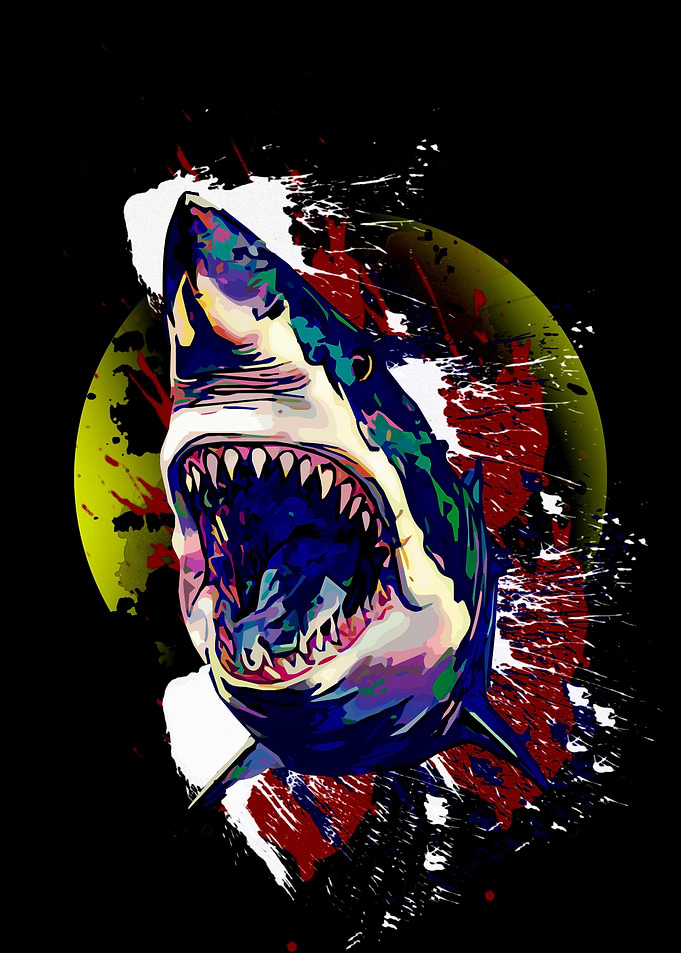 Shark 11