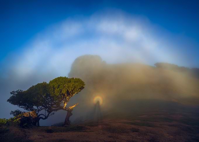 Brocken spectre in nature
