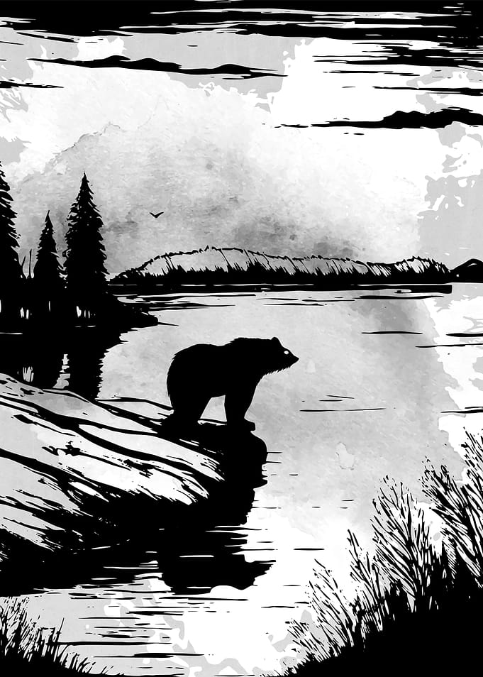 Wild and Bear