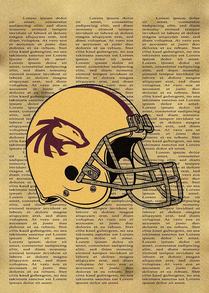 Michigan Panthers Helmet