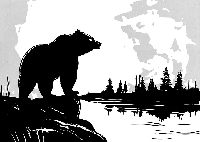Wild and Bear