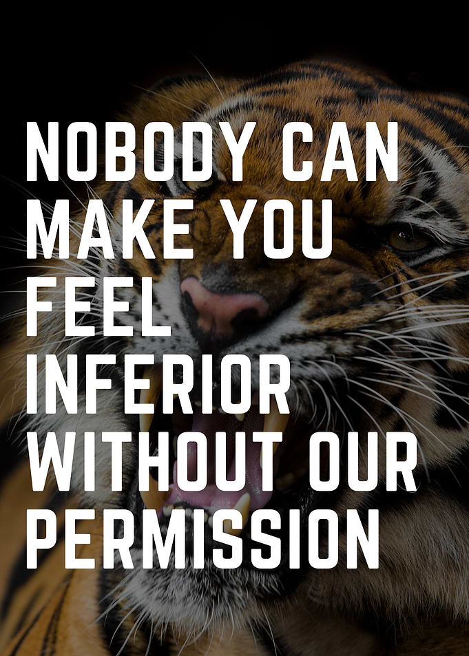 Tiger Quotes Life