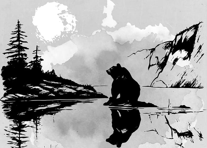 Wild and Bear