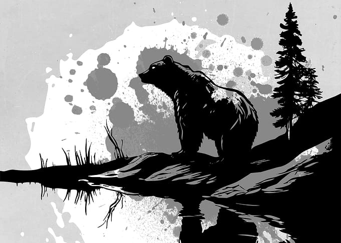 Wild and Bear