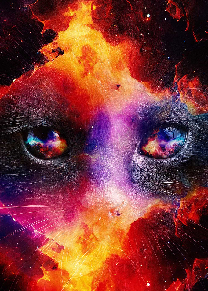 Space Cat 03