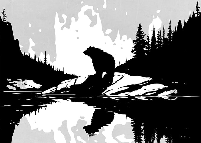 Wild and Bear