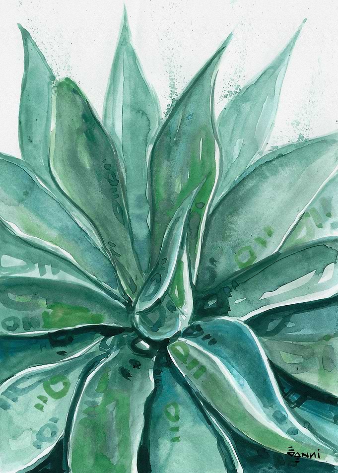 ALOE